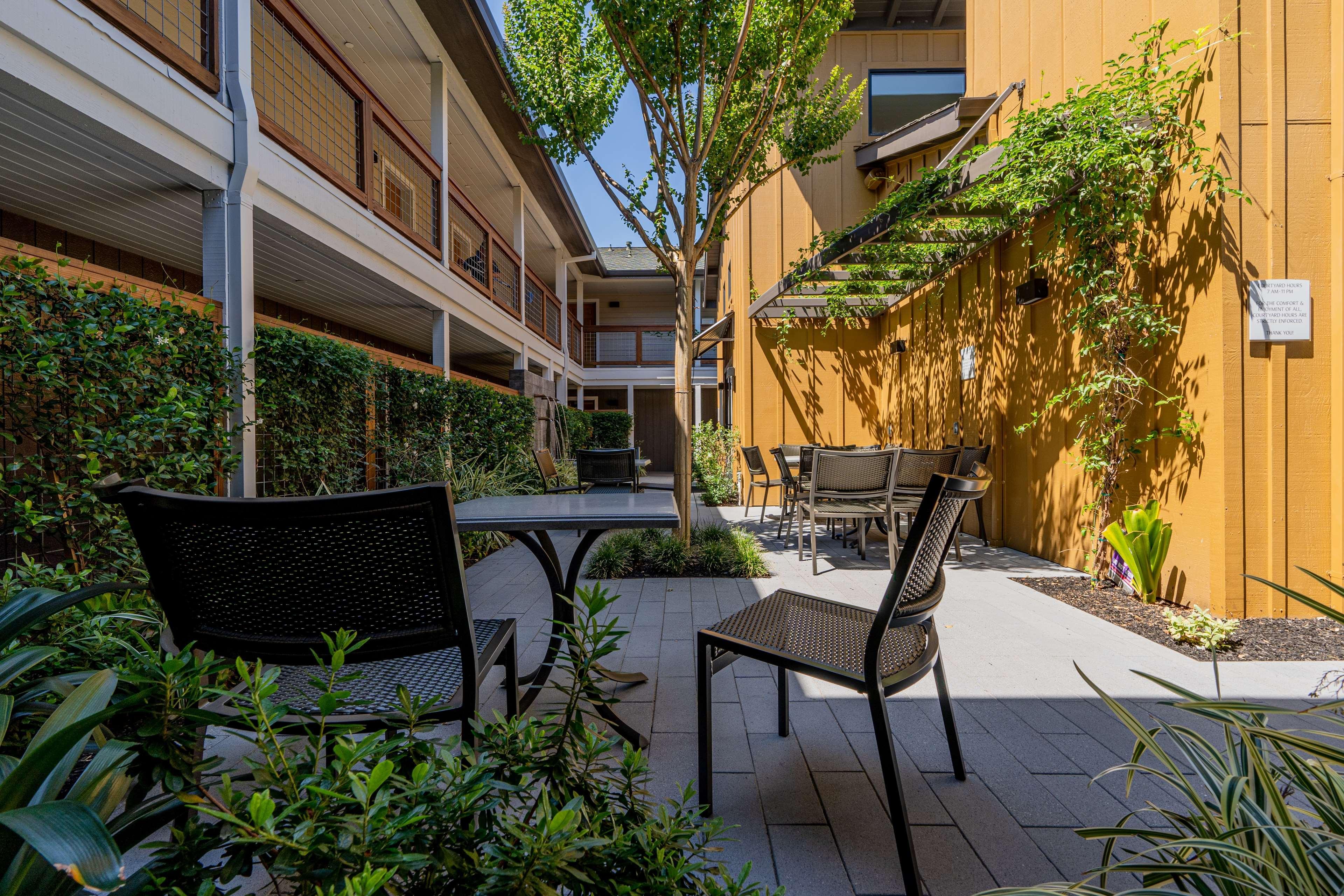 Best Western Plus Stevenson Manor Calistoga Exteriér fotografie